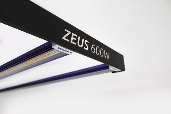 LUMATEK ZEUS 600W LED - Image 8